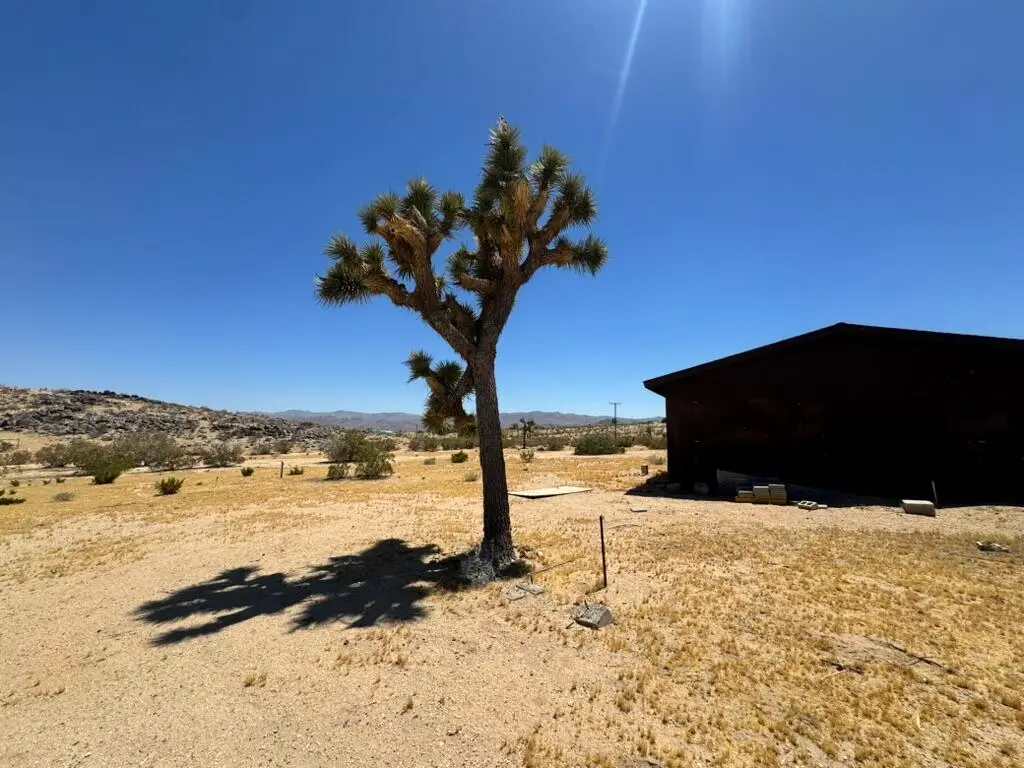 62157 Aberdeen Drive, Joshua Tree, CA 92252 - #1