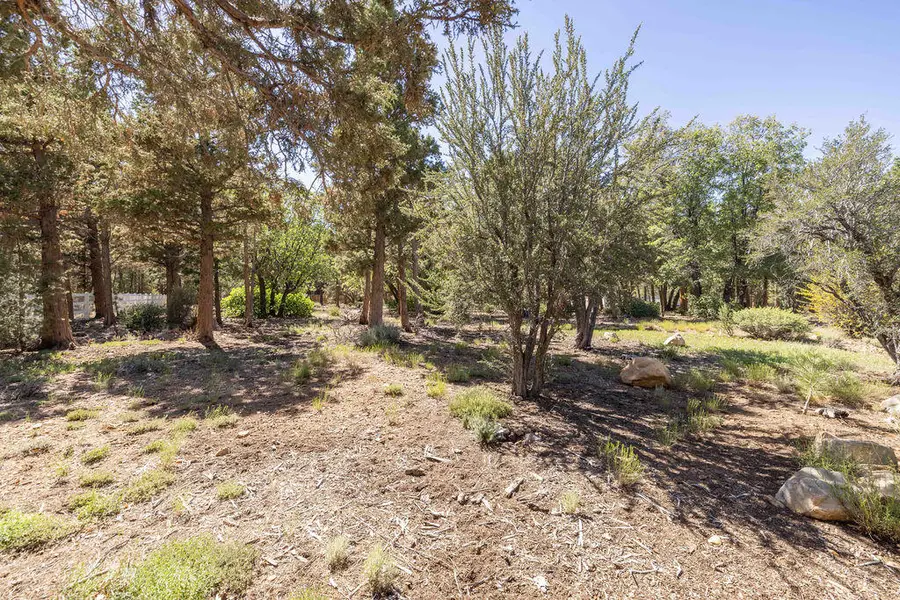 655 Cedar Glen Drive, Big Bear City, CA 92314 - #2