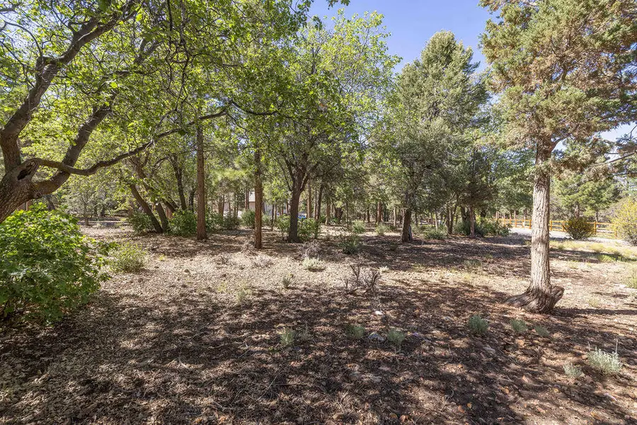 655 Cedar Glen Drive, Big Bear City, CA 92314 - #3
