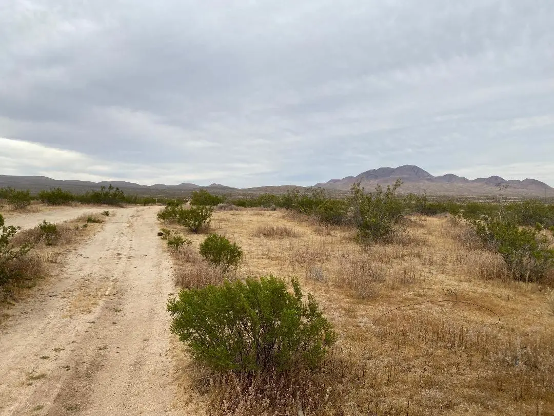 19 Hwy 395, Trona, CA 99999 - #1
