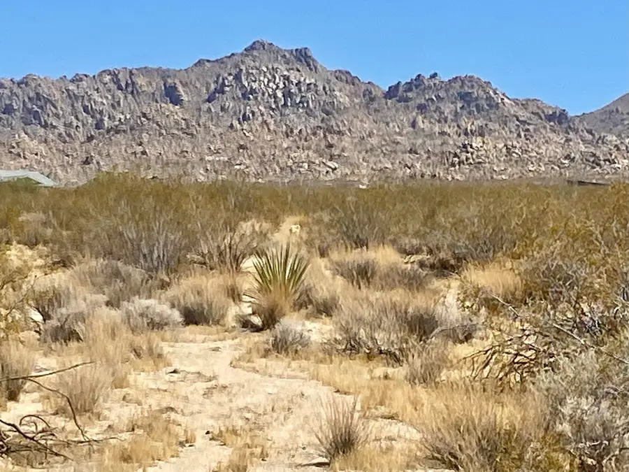 108 Twentynine Palms Highway, Joshua Tree, CA 92252 - #2