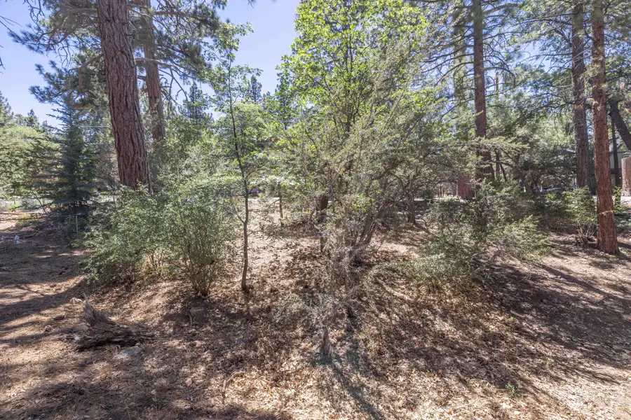 810 Vista Avenue, Sugarloaf, CA 92386 - #2