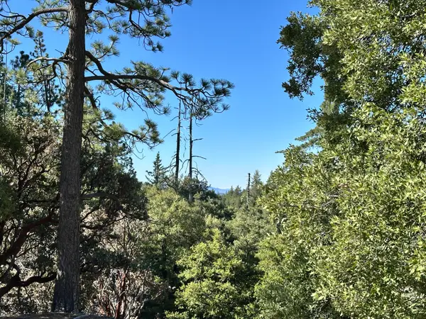0 Mountain View Drive, Idyllwild, CA 92549