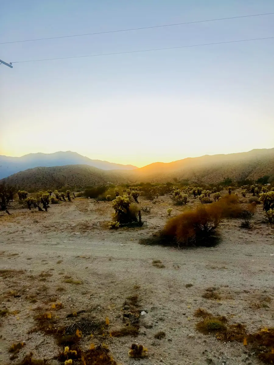 000 Terry Drive, Sky Valley, CA 92241 - #2
