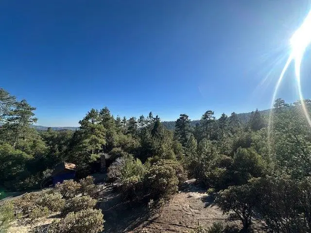0 Howland Road, Idyllwild, CA 92549 - #3