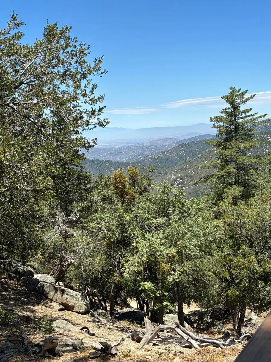 24930 Pine Cove Road, Idyllwild, CA 92549 - #3