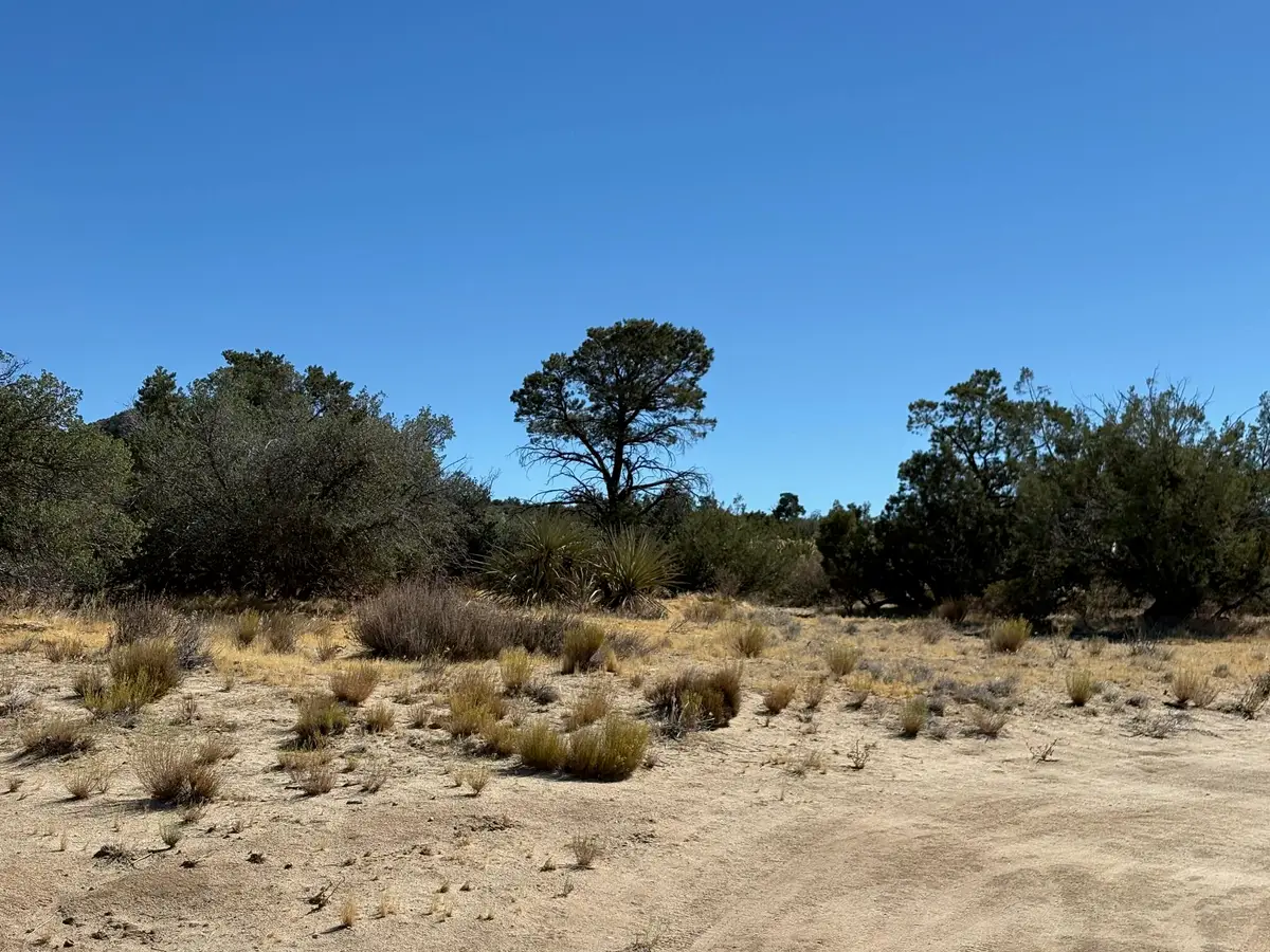0 Materhorn View, Mountain Center, CA 92561 - #1