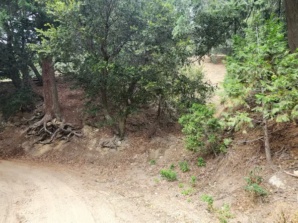 0 Fern Canyon Road, Crestline, CA 92325