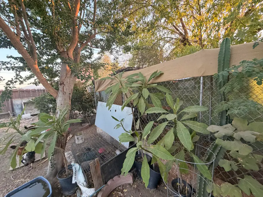 43930 Towne Street, Indio, CA 92201 - #3