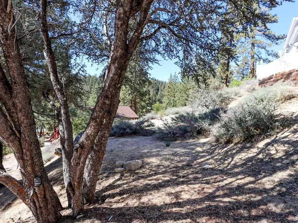 0 Cedar Dell Road, Fawnskin, CA 92333 - #1