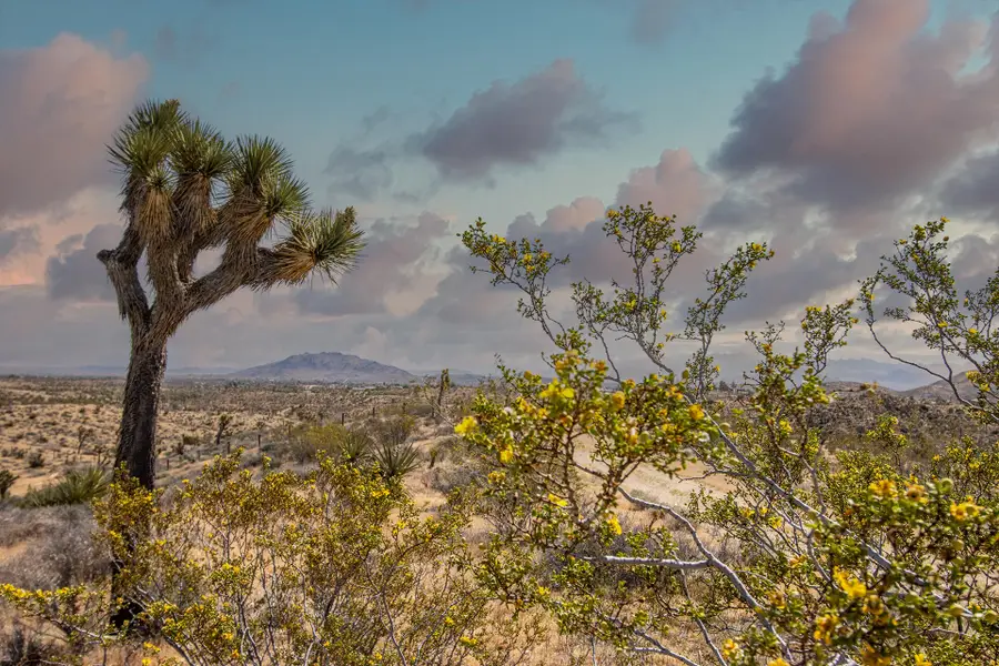 133 Elata Avenue, Yucca Valley, CA 92284 - #2