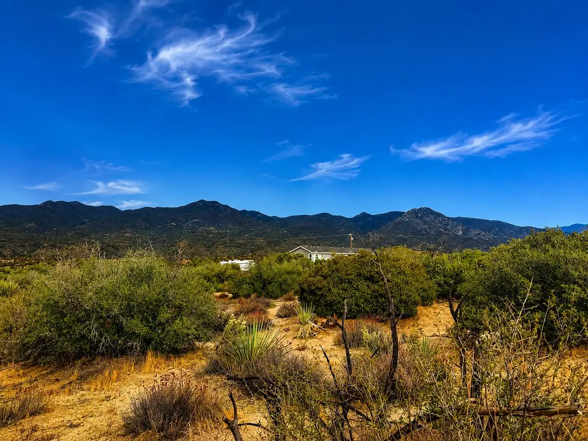 217 Chalet Drive, Mountain Center, CA 92561 - #1