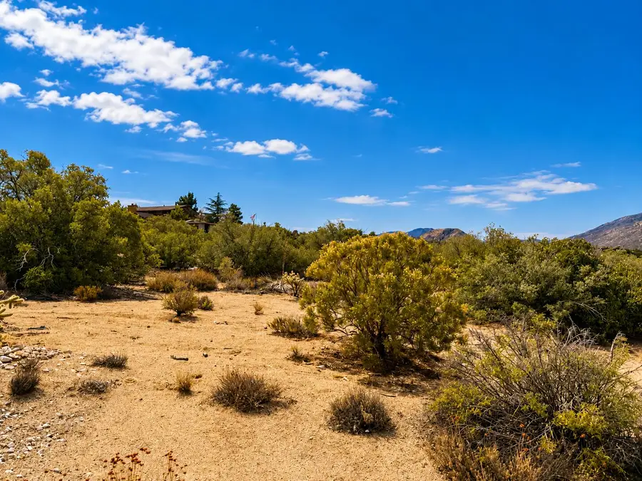217 Chalet Drive, Mountain Center, CA 92561 - #2