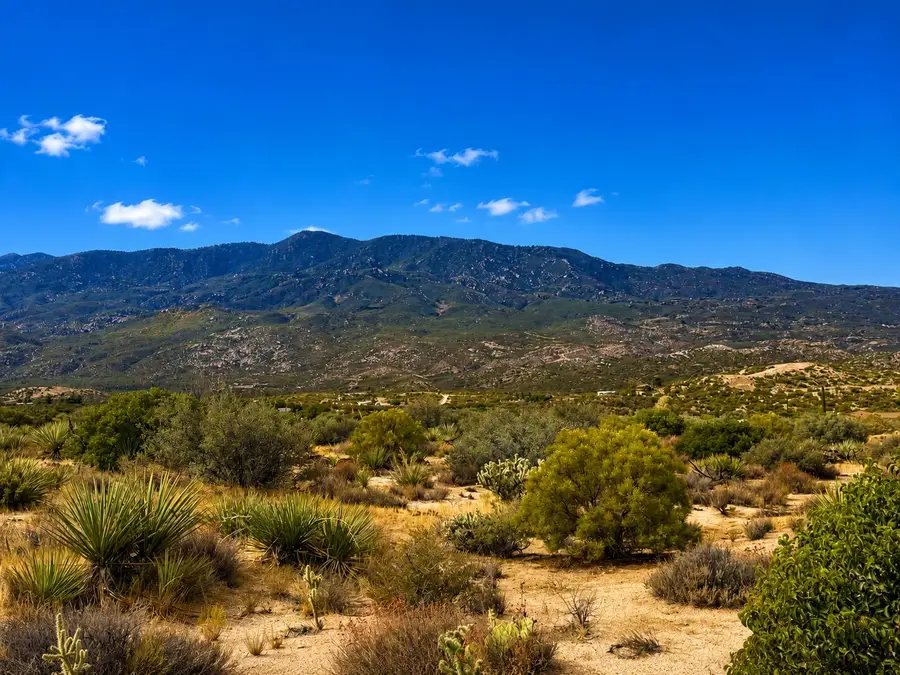 217 Chalet Drive, Mountain Center, CA 92561 - #3