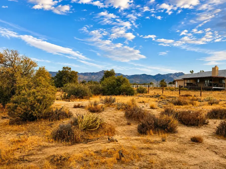 529 Saint Bernard Drive, Mountain Center, CA 92561 - #2