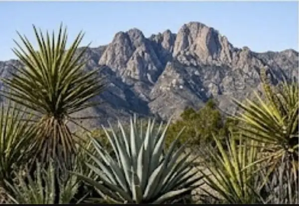 63330 Jeraboa Road, Mountain Center, CA 92561