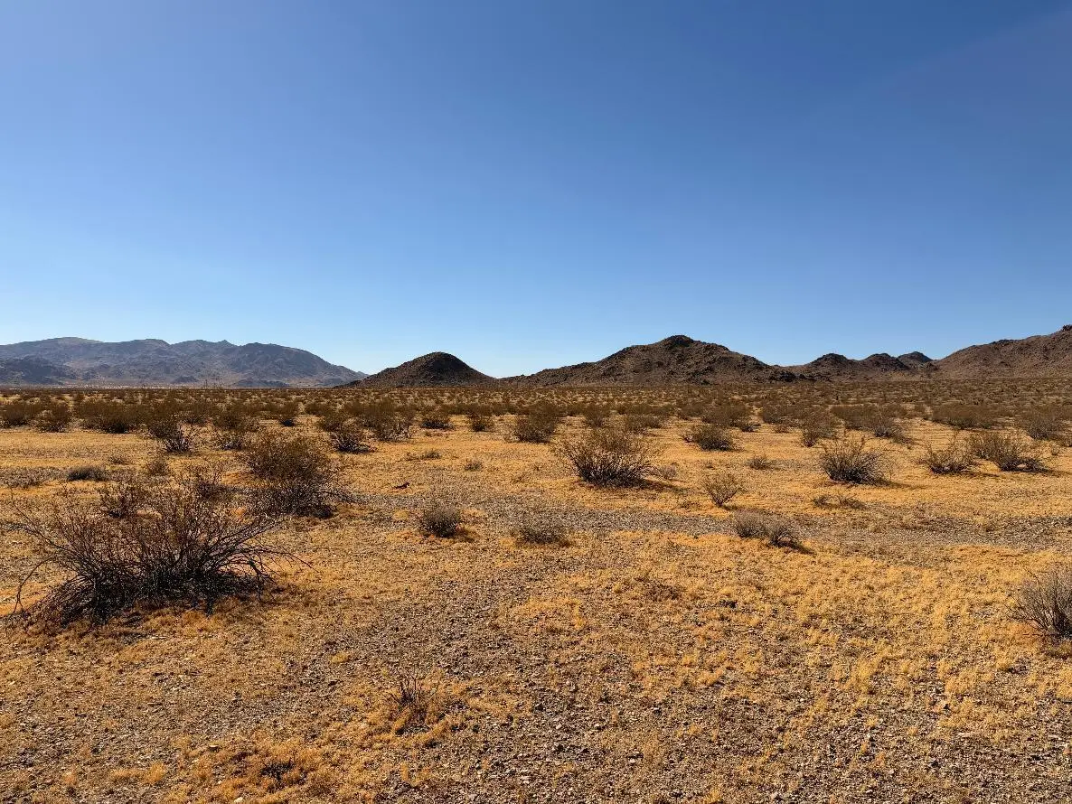 31 Brucite Street, Lucerne Valley, CA 92356 - #1