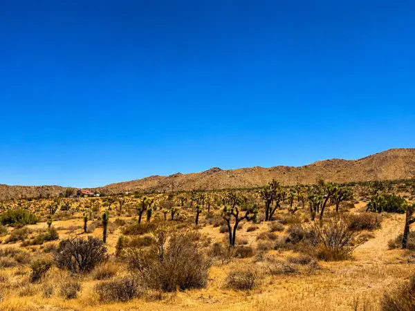 58920 Lisbon Drive, Yucca Valley, CA 92284