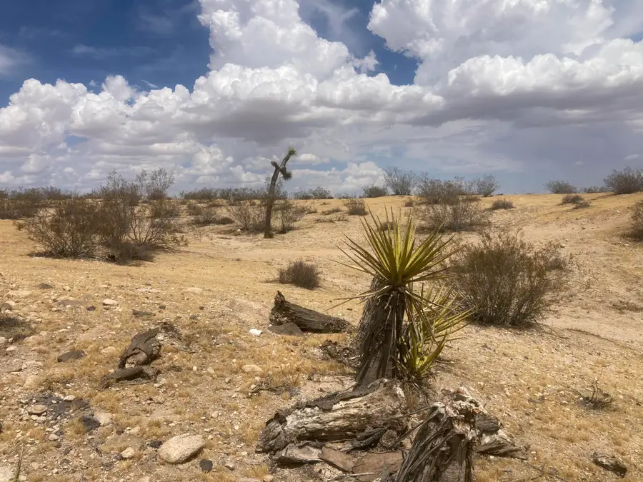 0 Sunnyhill Rd, Joshua Tree, CA 92252 - #3