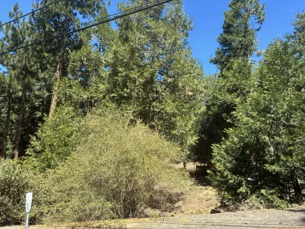 0 Acorn Lane, Idyllwild, CA 92549