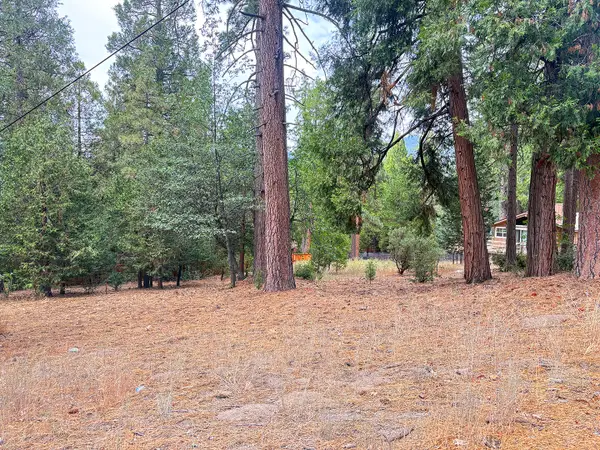 54218 Marian View Drive, Idyllwild, CA 92549