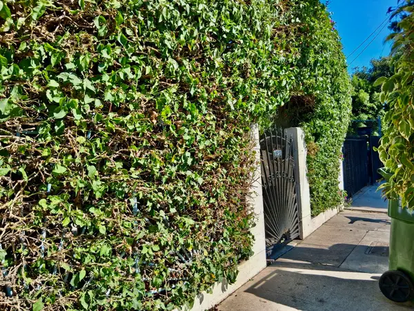 10328 Hickory Street, Los Angeles, CA 90002