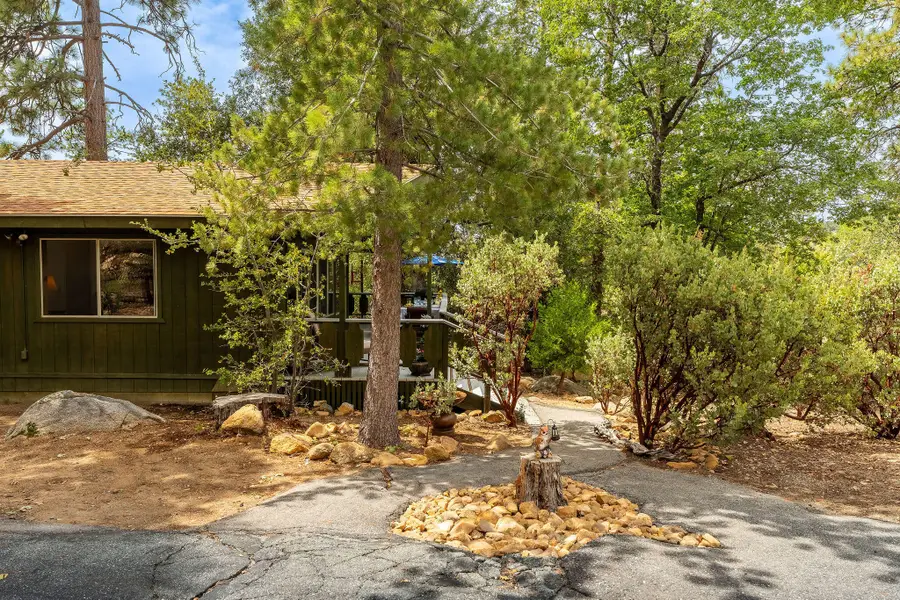 25461 Glen Road, Idyllwild, CA 92549 - #3