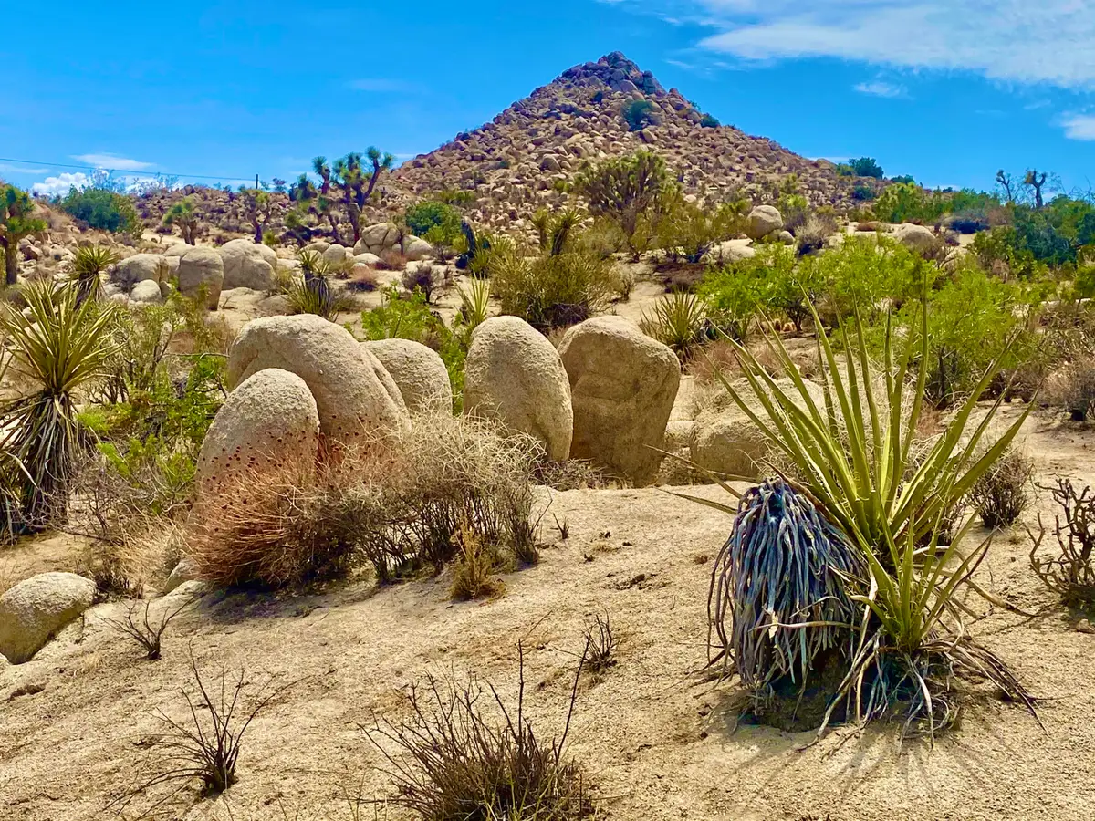 104 Bandera Road, Yucca Valley, CA 92284 - #1