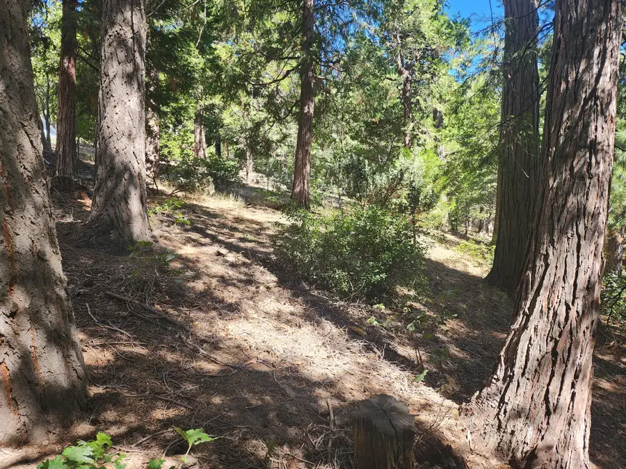 0 Grass Valley, Lake Arrowhead, CA 92352 - #3