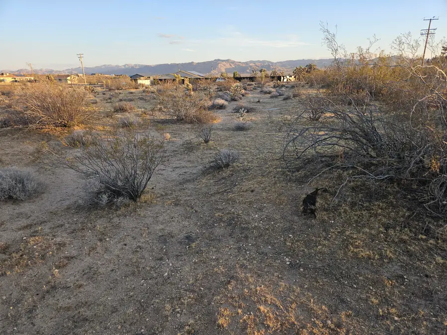 010 Yucca Mesa Road, Yucca Valley, CA 92284 - #3