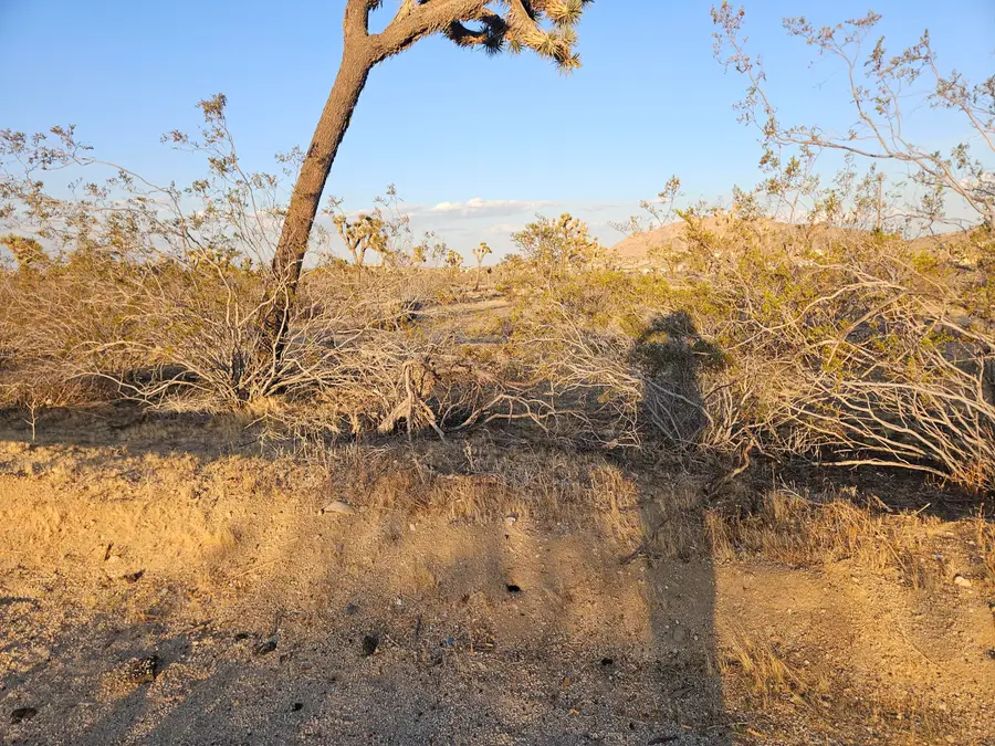 020 Yucca Mesa Road, Yucca Valley, CA 92284 - #3