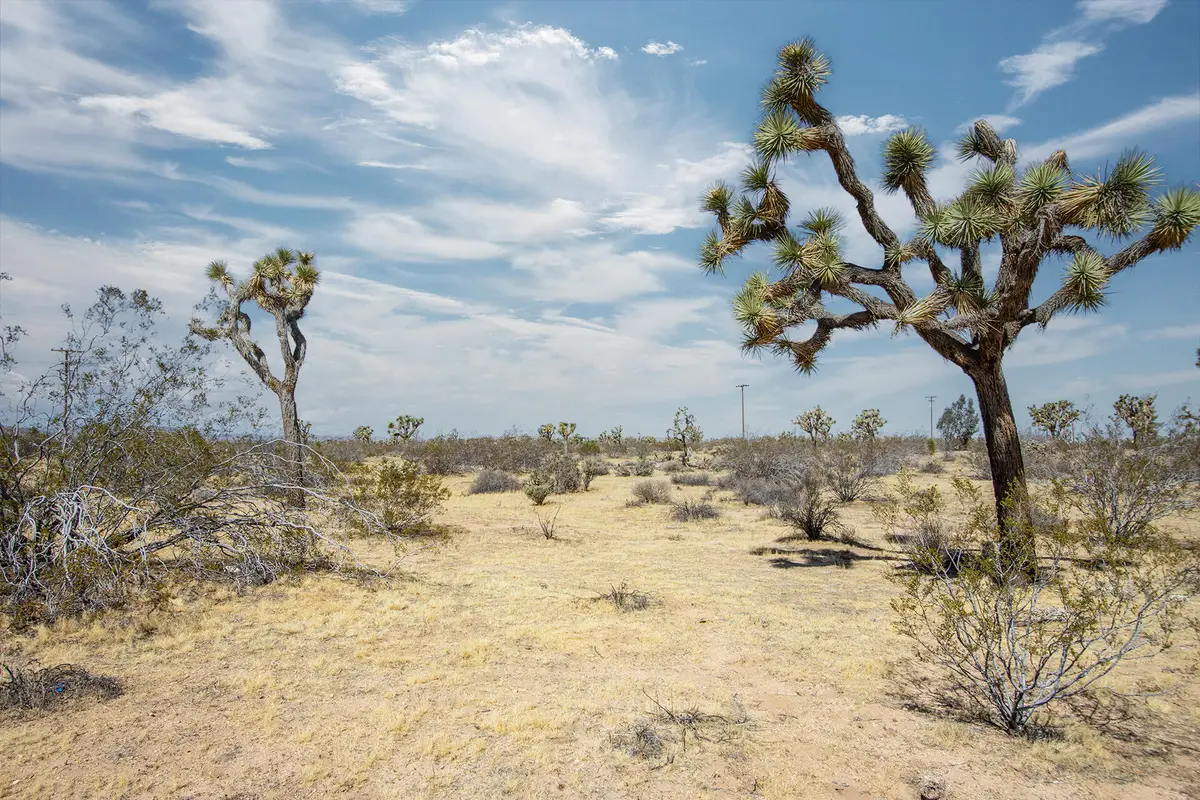138 La Brisa Road, Yucca Valley, CA 92284 - #1