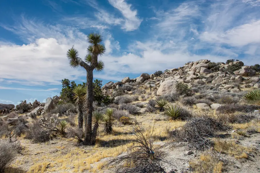 205 Bandera Road, Yucca Valley, CA 92284 - #3