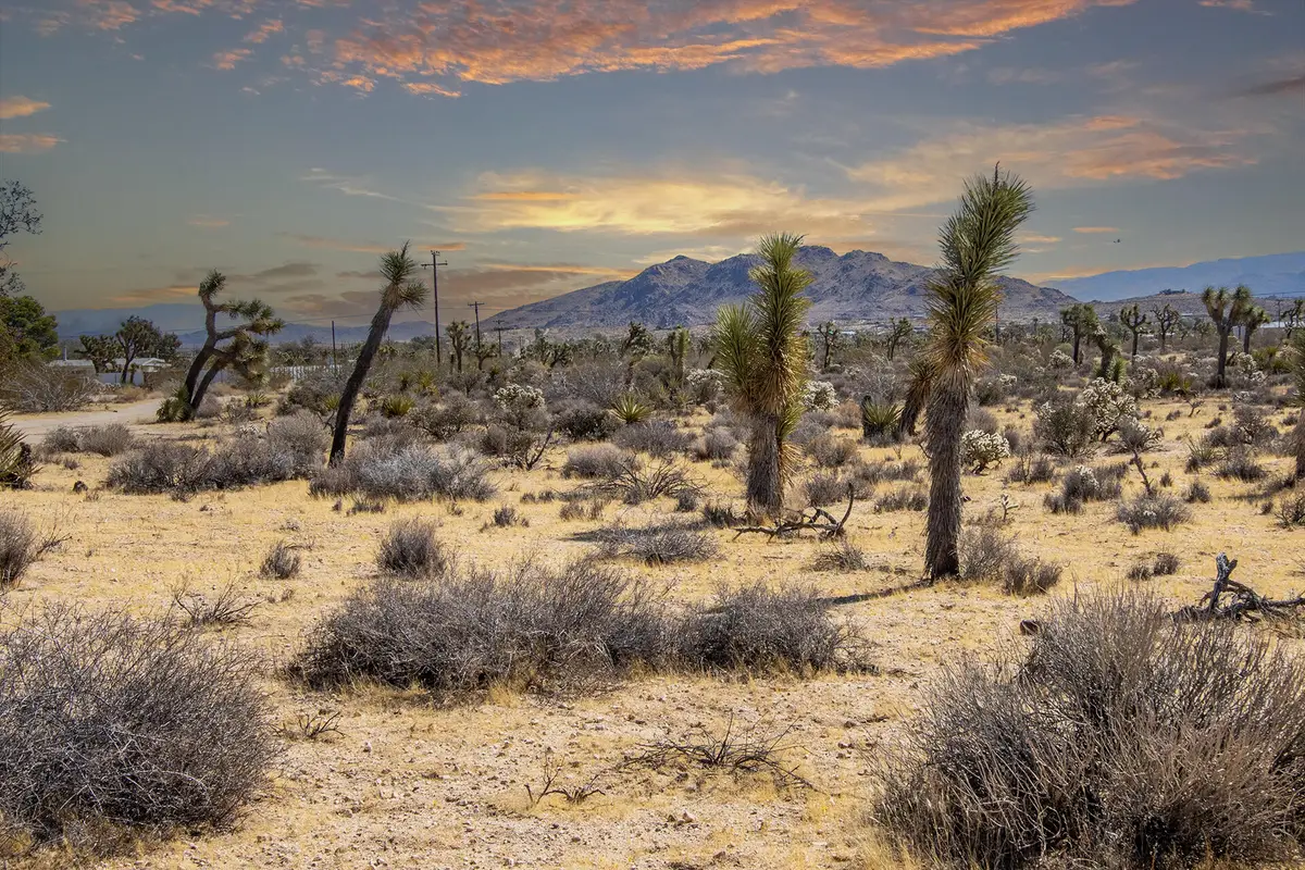 58470 Mesa Drive, Yucca Valley, CA 92284 - #1