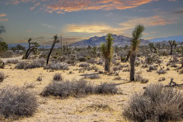 58470 Mesa Drive, Yucca Valley, CA 92284