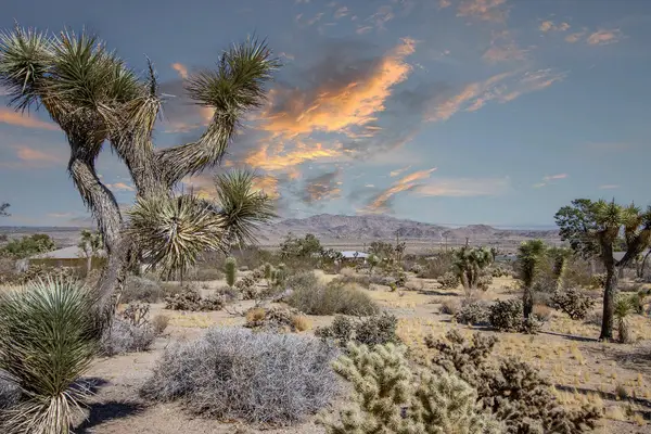 60586 La Mirada Trail, Joshua Tree, CA 92252