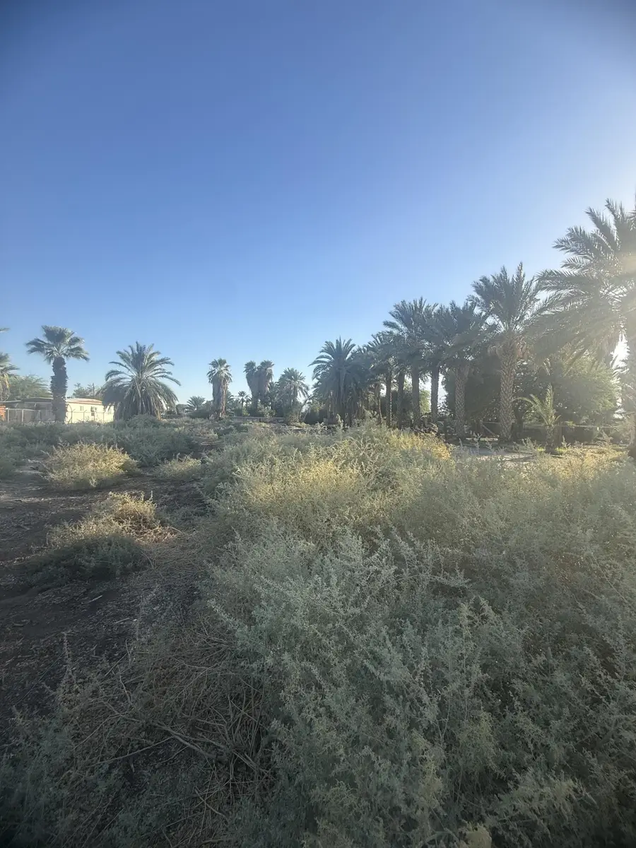 88821 62nd Avenue, Thermal, CA 92274 - #3