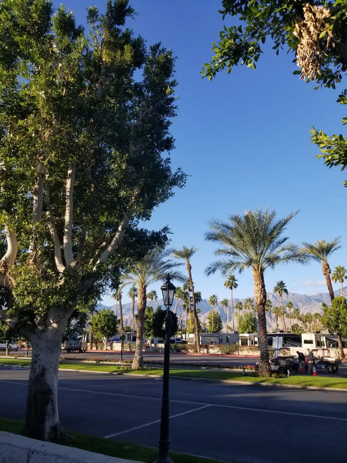 69411 Ramon Road #591, Cathedral City, CA 92234 - #1