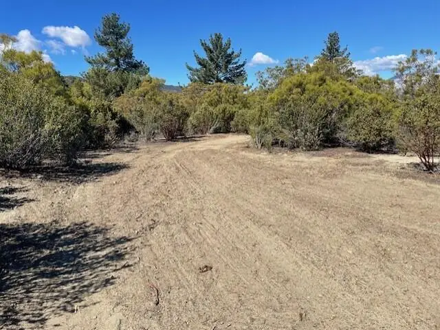 Lot 20 Goldshot Creek Road, Mountain Center, CA 92561 - #1