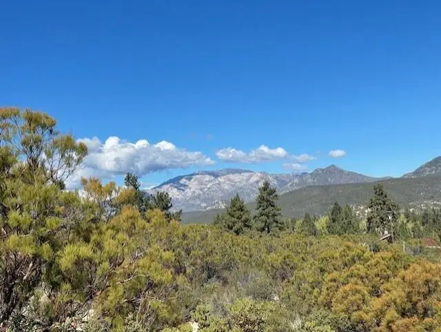 Lot 20 Goldshot Creek Road, Mountain Center, CA 92561 - #2