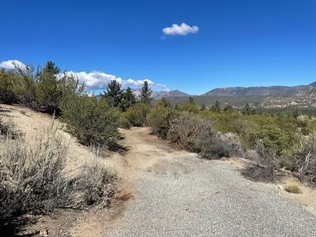 Lot 20 Goldshot Creek Road, Mountain Center, CA 92561 - #3