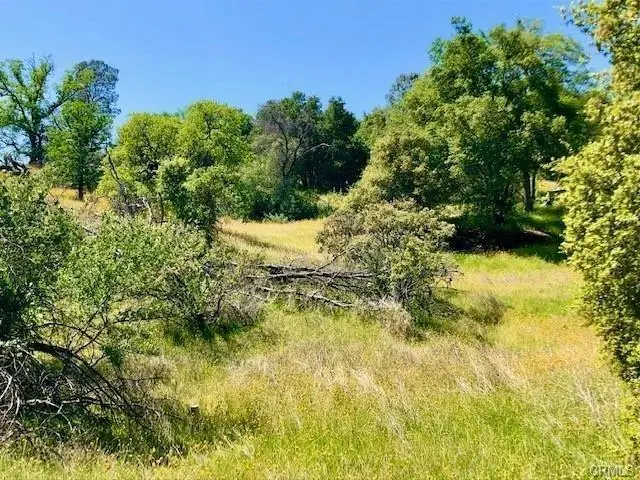 0 N Dome Drive, Coarsegold, CA 93614 - #1