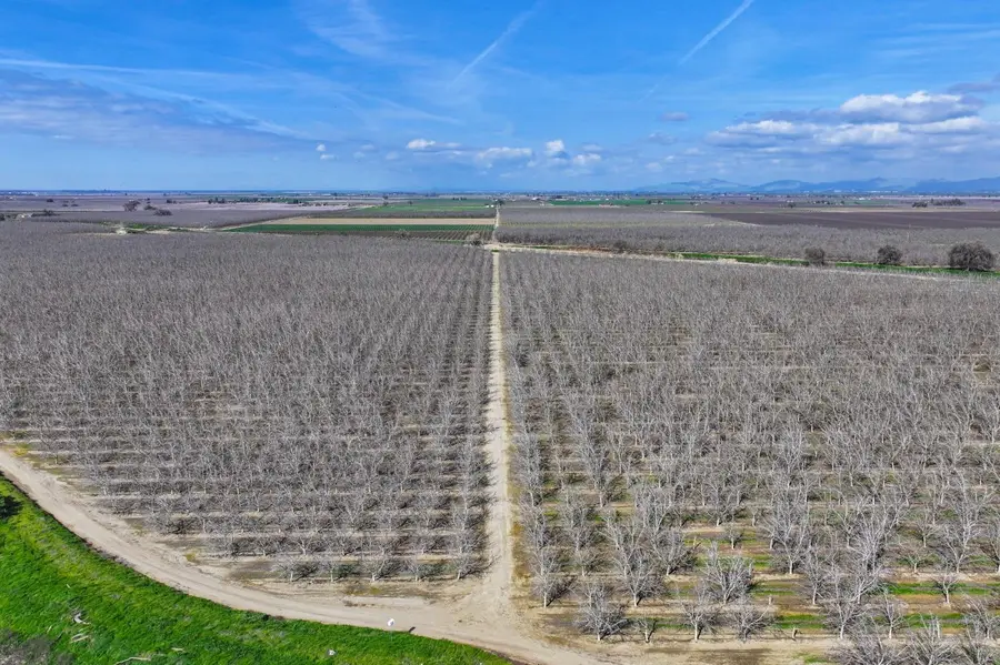 0 Avenue 176, Strathmore, CA 93267 - Image #2