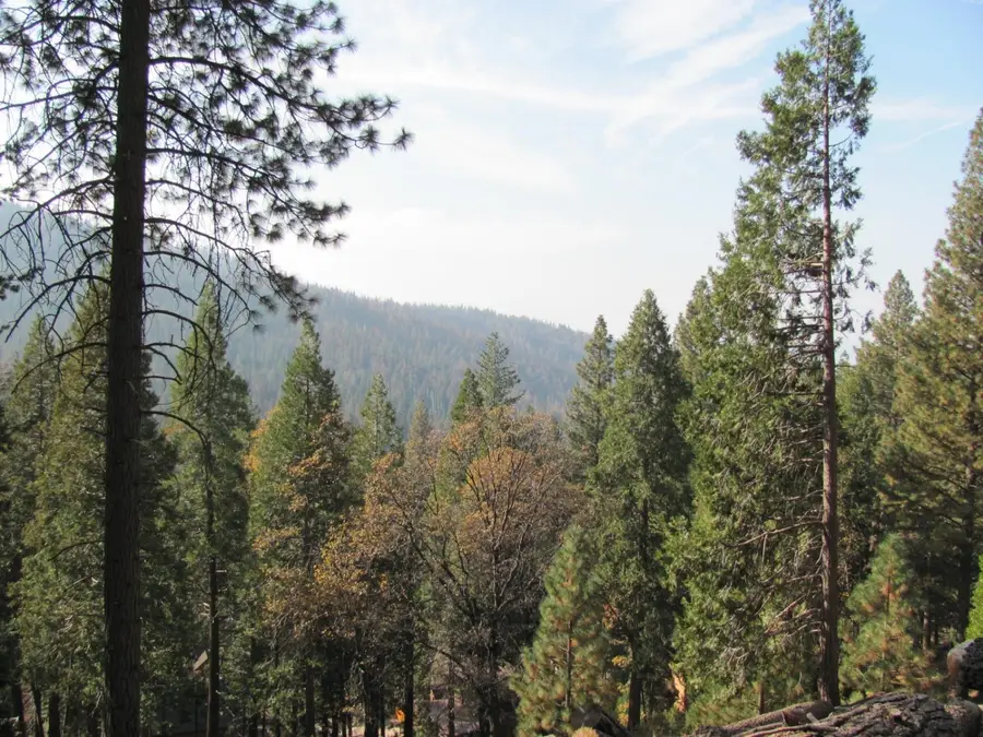 7343 Yosemite Park Way, Yosemite West, CA 95389 - Image #2