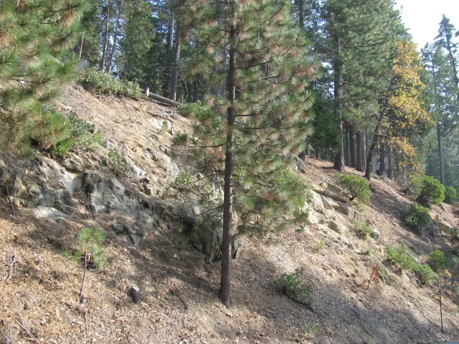 7343 Yosemite Park Way, Yosemite West, CA 95389 - Image #3