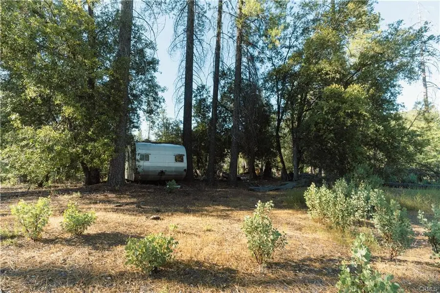 10902 Stout Lane, Coulterville, CA 95311 - #3