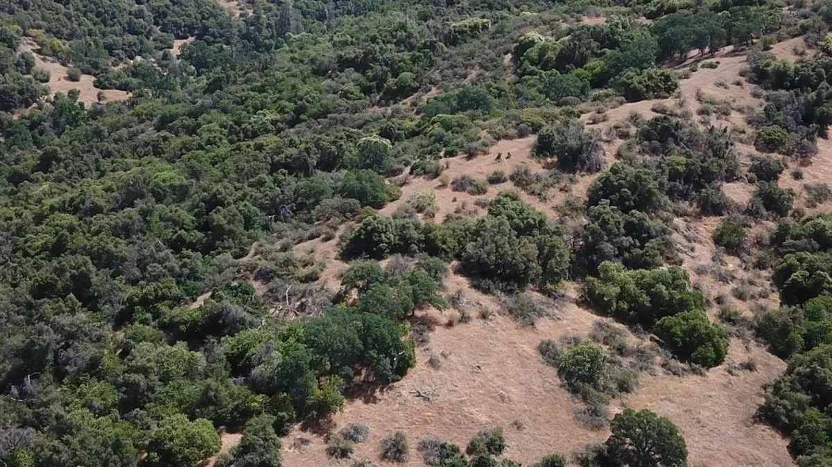8 Acres, Miramonte, CA 93641 - Image #1