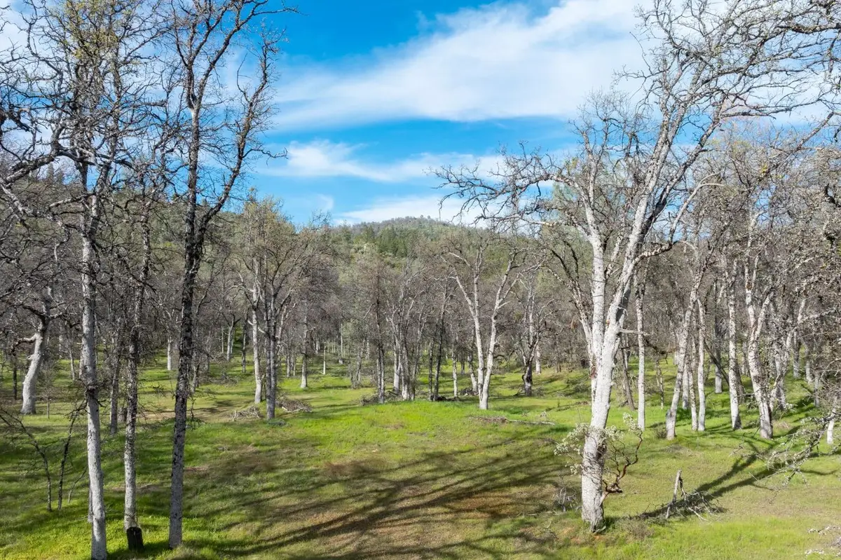 5328 E Whitlock Road, Mariposa, CA 95338 - #1