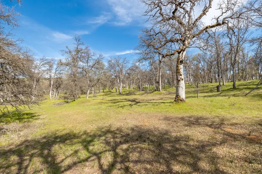 5328 E Whitlock Road, Mariposa, CA 95338 - #3