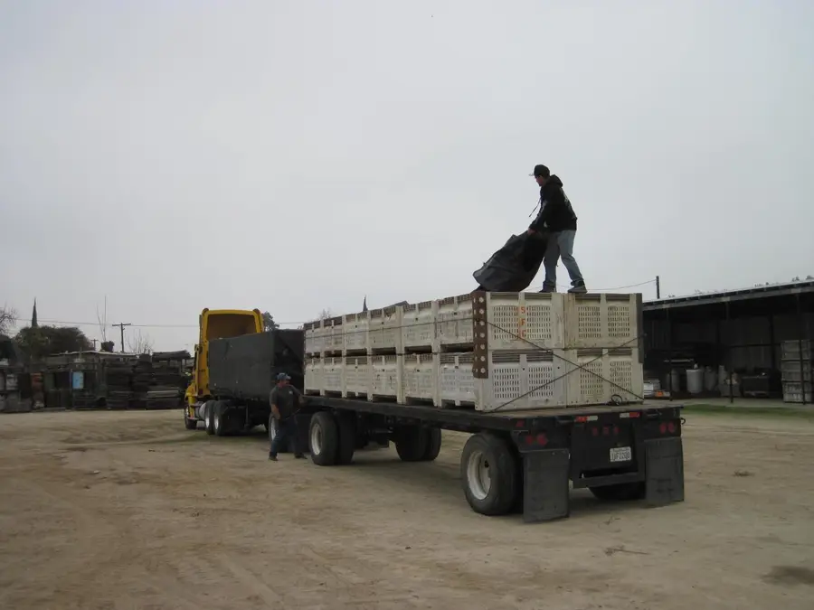 347 E Clayton Avenue, Fresno, CA 93725 - #2